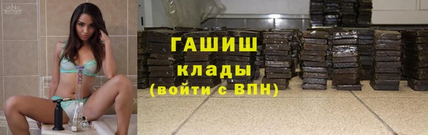 прущие грибы Осинники