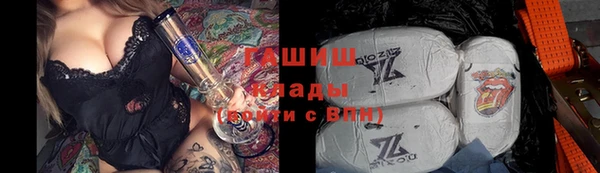 прущие грибы Осинники