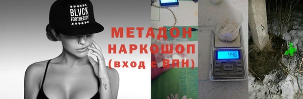 прущие грибы Осинники