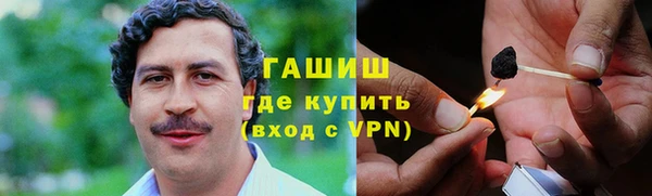 прущие грибы Осинники