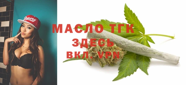 прущие грибы Осинники