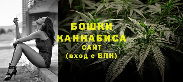 шишки Остров