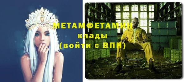 прущие грибы Осинники