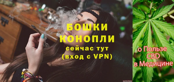 прущие грибы Осинники