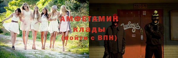 прущие грибы Осинники